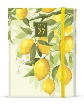 Denní diář - Adam - Lamino - B6 - Citron