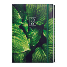 Denní diář - David - Lamino - A5 - Listy