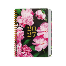 Denní diář - David - Twin - Pivoňky
