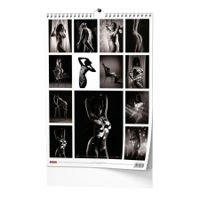 Nástěnný kalendář - Imagine - A3