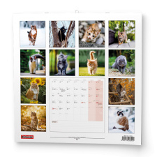 Nástěnný kalendář - Kočky