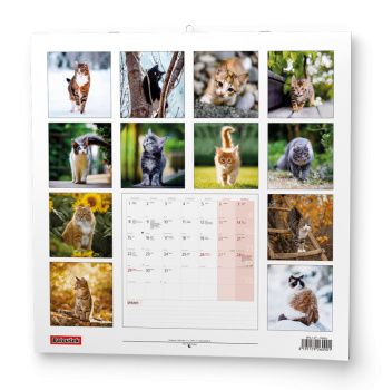 Nástěnný kalendář - Kočky