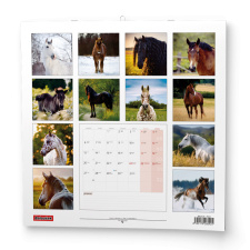 Nástěnný kalendář - Koně