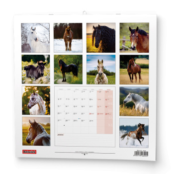 Nástěnný kalendář - Koně