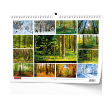 Nástěnný kalendář - Les
