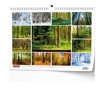 Nástěnný kalendář - Les
