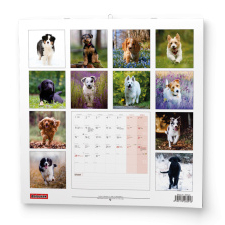 Nástěnný kalendář - Štěňata