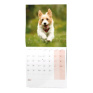 Nástěnný kalendář - Štěňata