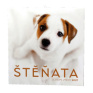 Nástěnný kalendář - Štěňata