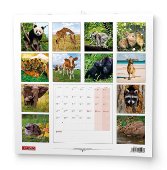 Nástěnný kalendář - Zvířátka