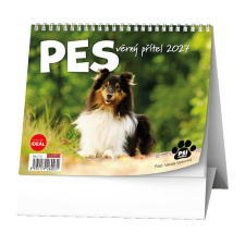 Stolní kalendář - IDEÁL - Pes - věrný přítel /s psími jmény/