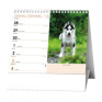 Stolní kalendář - IDEÁL - Pes - věrný přítel /s psími jmény/