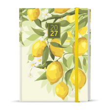 Týdenní diář - Prokop - Lamino - B6 - Citron